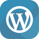 Wordpress Developers